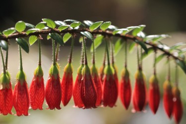东莞中堂私人快速借钱网，轻松解决资金难题
