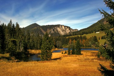 东莞中堂民间私贷攻略：揭秘低成本借贷的秘密