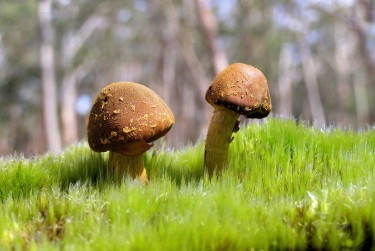 东莞中堂私人老板放款：轻松融资的秘密通道